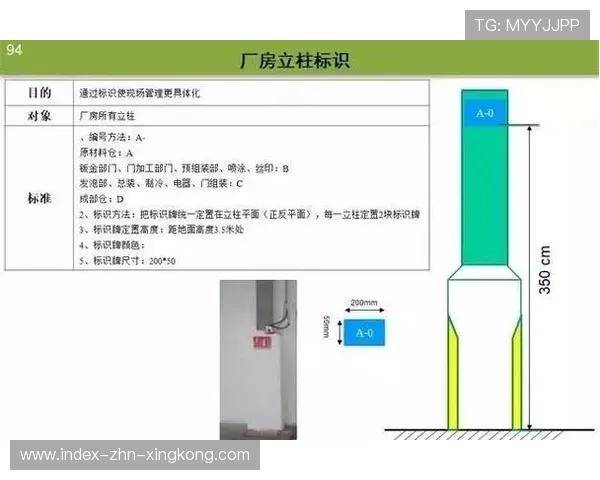 后防技术指标标准化推动选材效率倍增